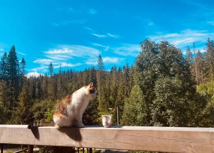 Na Wsi U Papierzy Sauna, Jacuzzi, Appartamento *