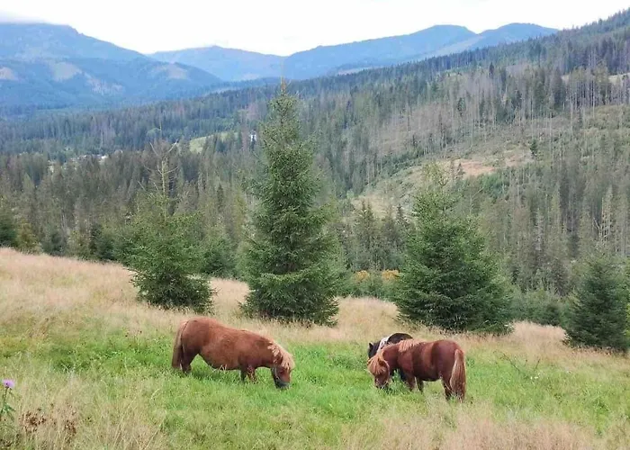 Na Wsi U Papierzy Sauna, Jacuzzi, Appartamento Witów