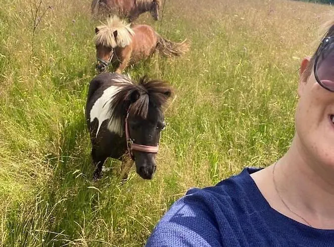 Appartamento Na Wsi U Papierzy Sauna, Jacuzzi, *